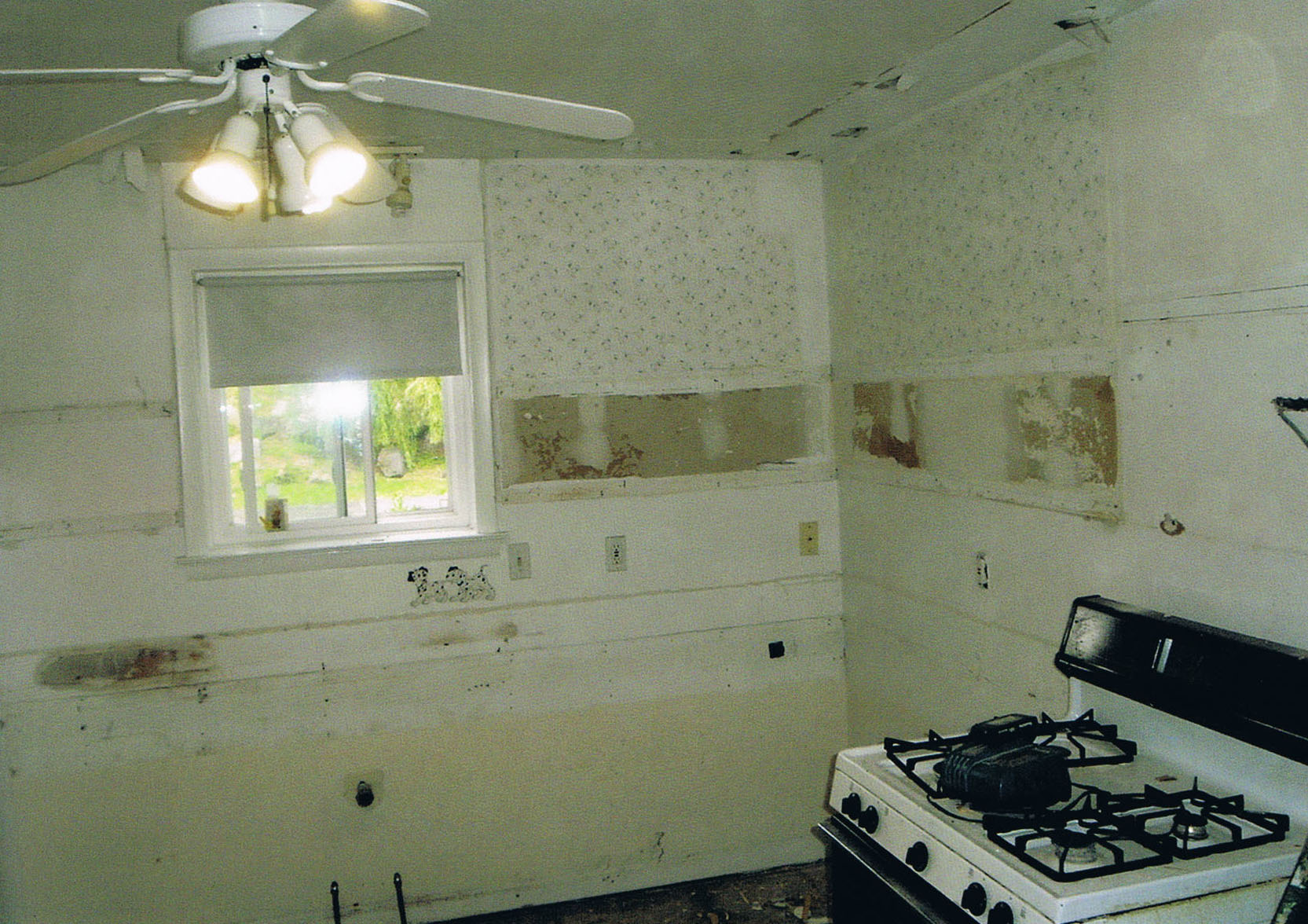 kitchen6.jpg