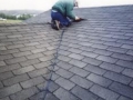 roof5.jpg